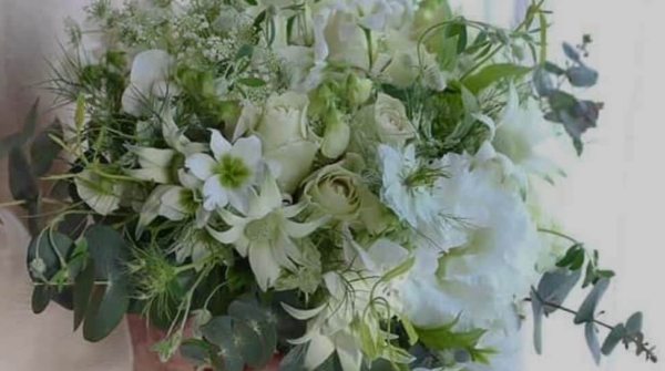 Details Image